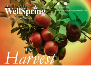 The_Harvest_devotionals_newsletter_editions3_01