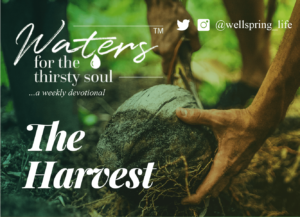 the_harvest_devotional_newsletter_mc_01