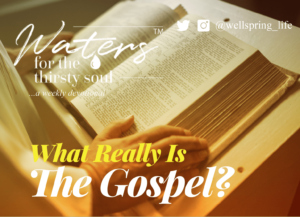 what_really_is_the_gospel_devotional_newsletter_mc_01